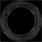 Engine Crankshaft Seal