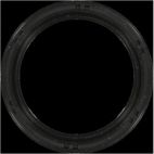 Engine Crankshaft Seal