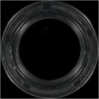 Engine Crankshaft Seal