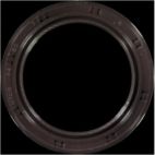 Engine Crankshaft Seal