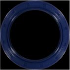 Engine Crankshaft Seal