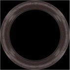 Engine Crankshaft Seal