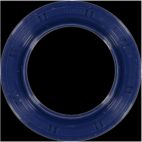 Engine Crankshaft Seal