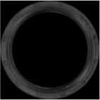 Engine Crankshaft Seal