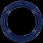Engine Crankshaft Seal