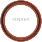 Engine Crankshaft Seal