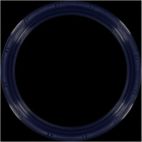 Engine Crankshaft Seal Kit