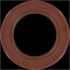 Engine Crankshaft Seal