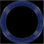 Engine Crankshaft Seal