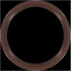 Engine Crankshaft Seal