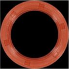 Engine Crankshaft Seal