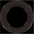 Engine Crankshaft Seal