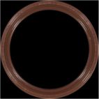 Engine Crankshaft Seal