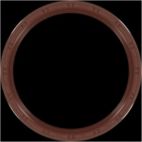 Engine Crankshaft Seal