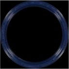 Engine Crankshaft Seal