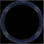 Engine Crankshaft Seal