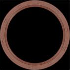 Engine Crankshaft Seal