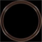 Engine Crankshaft Seal