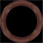 Engine Crankshaft Seal