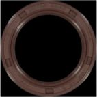 Engine Crankshaft Seal