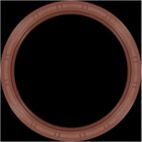 Engine Crankshaft Seal Kit