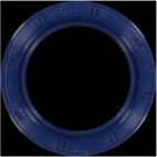 Engine Crankshaft Seal