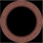 Engine Crankshaft Seal