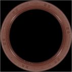 Engine Camshaft Seal