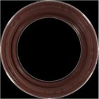 Engine Crankshaft Seal