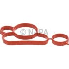 Engine Oil Cooler Gasket