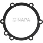 Engine Water Pump Gasket