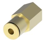 Weatherhead by Danfoss, Push-Connect Female Connector, Brass