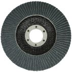 Flap Disc / Sanding & Grinding